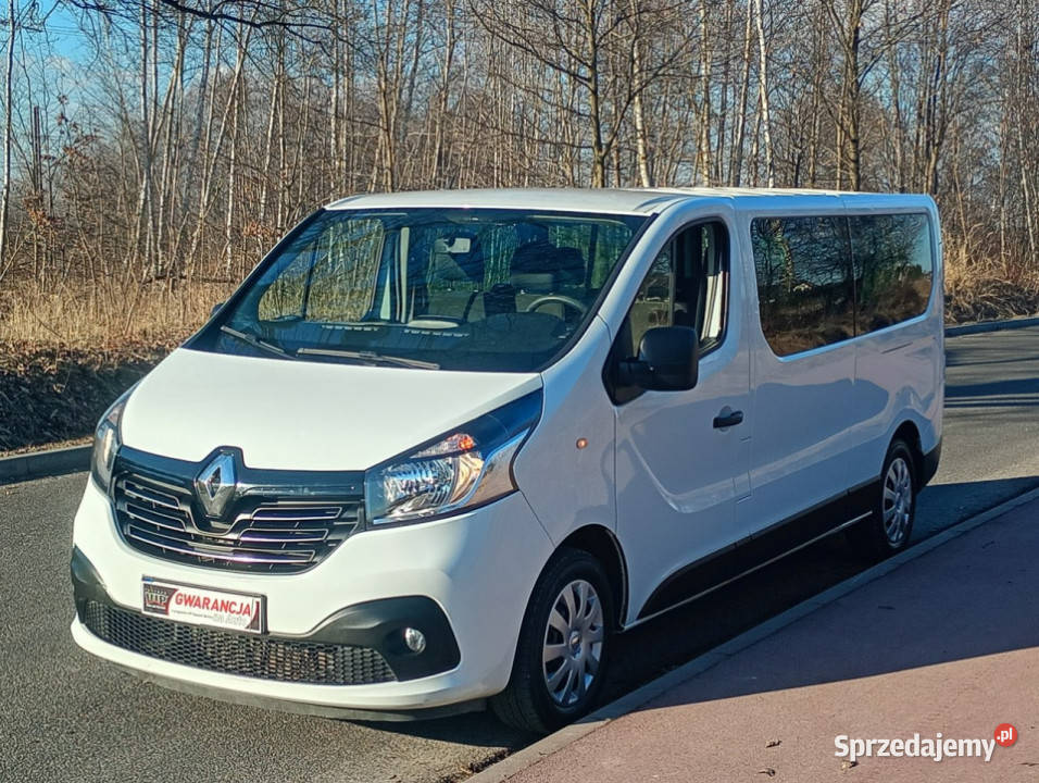 Renault Trafic krajowy longfv vat 23 III 2014 biały Chełm Śląski sprzedam