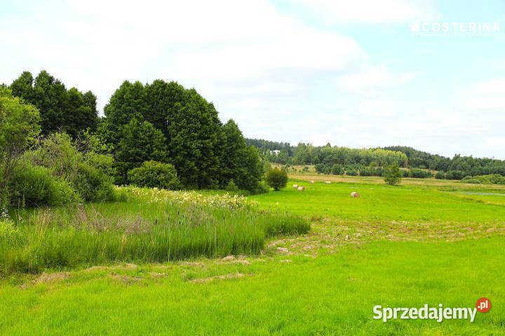 Grunt do sprzedania Stara Kiszewa 1129m2