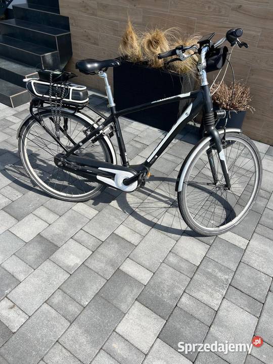 Rower elektryczny Giant Kamyk