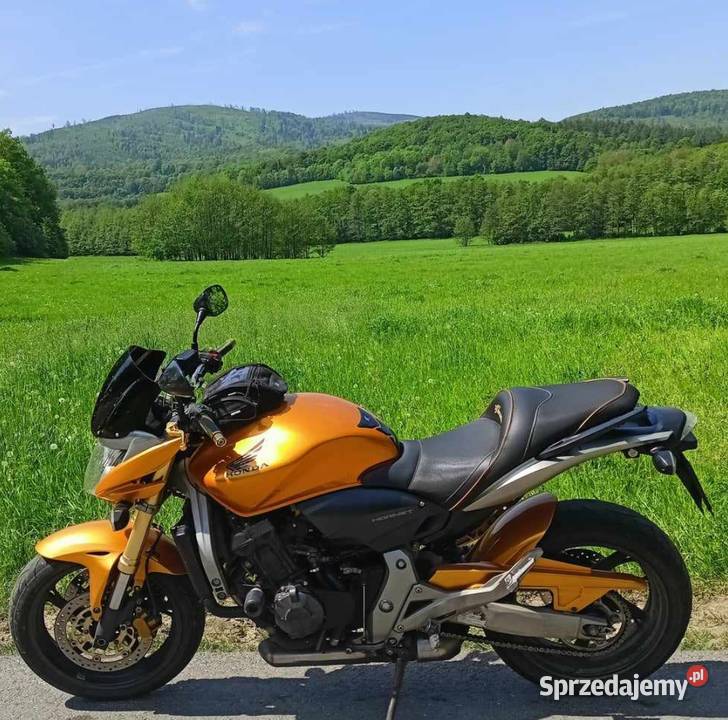 Honda Hornet 2007 turystyczny Honda opolskie Prudnik