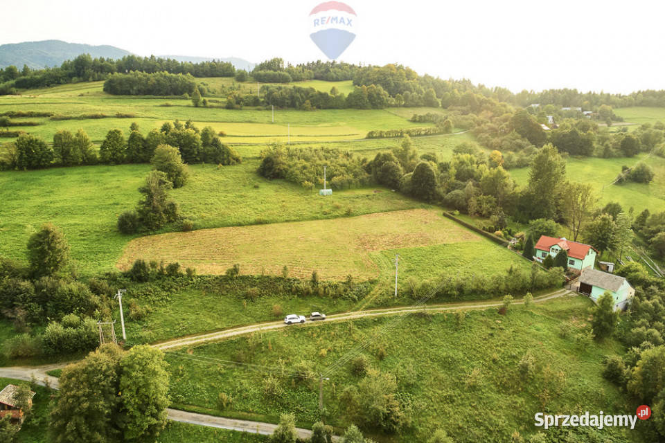 Działka budowlana 43 ary Ochotnica Dolna sprzedam