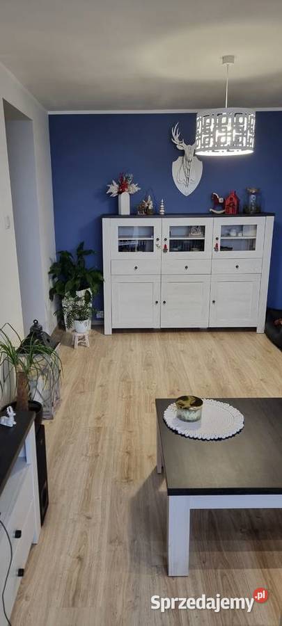 Mieszkanie na sprzedaż w centrum Chorzowa 49m 49m2 Sprzedaż Chorzów