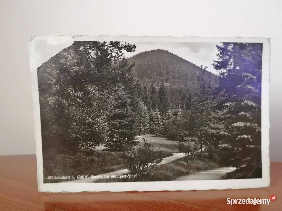 Gorbersdorf Sokołowsko Pocztówka 1884 Wałbrzych