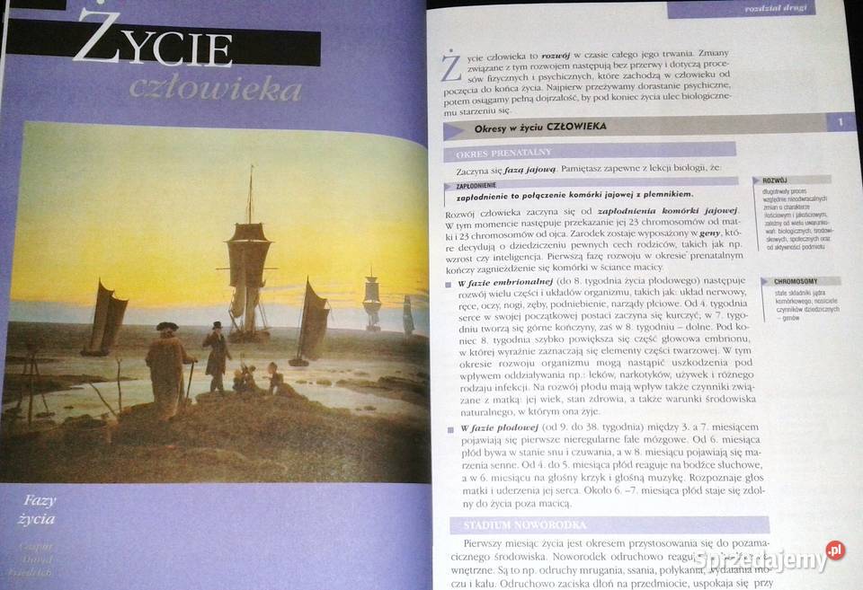 Wychowanie do życia w rodzinie Felicja