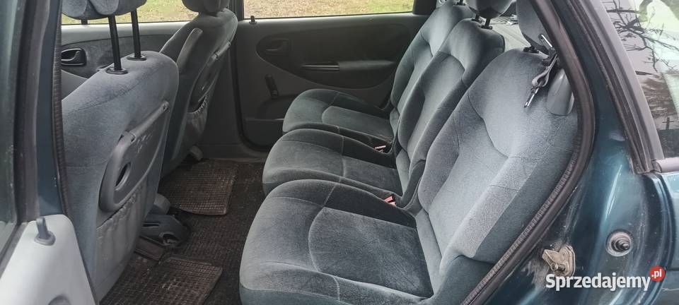 Renault scenic Kostry