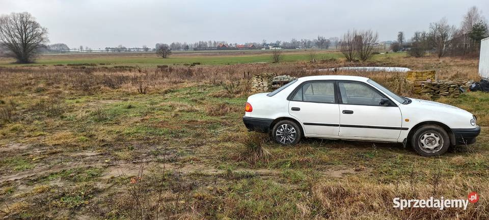 2x toyota corolla e11 sedan 14benzyna benzyna mazowieckie Żerdź
