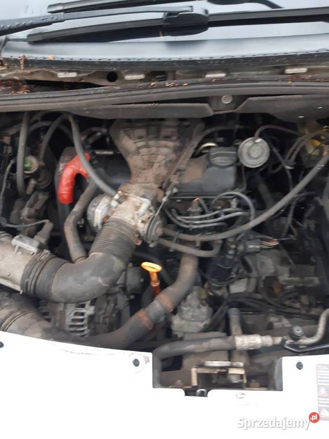 Seat Alhambra 20 benzyna z Niemiec Radomin