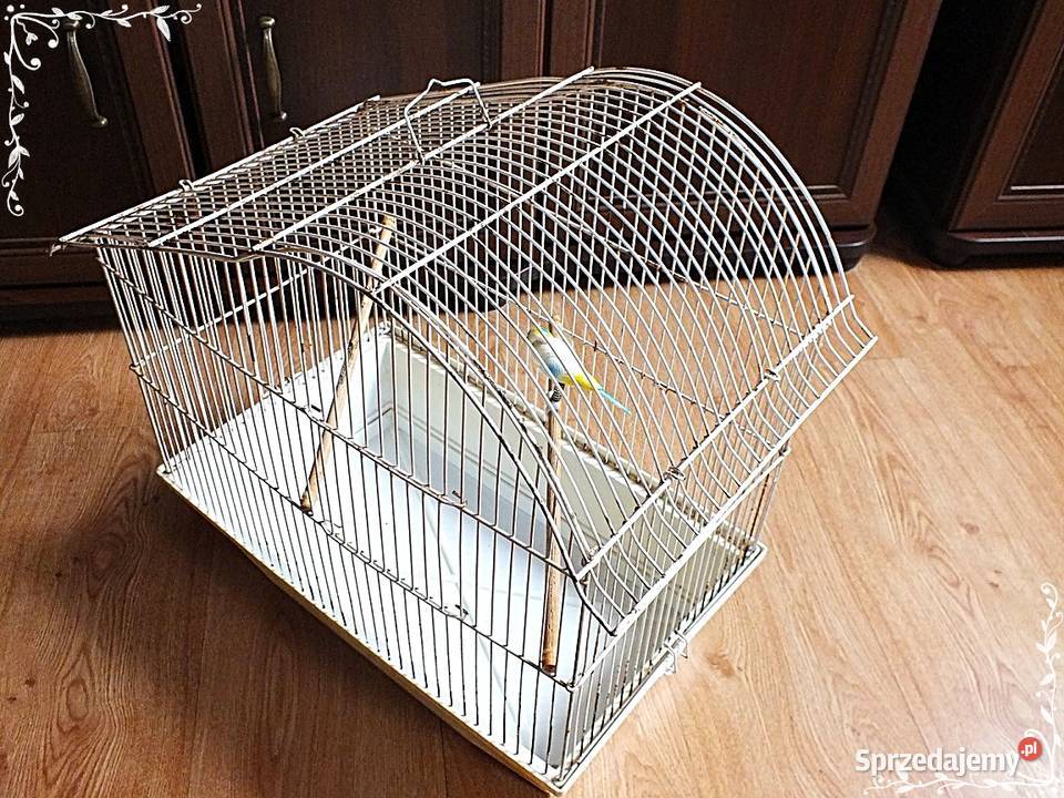 Biała klatka ptaków kanarki zeberki 46x49x30