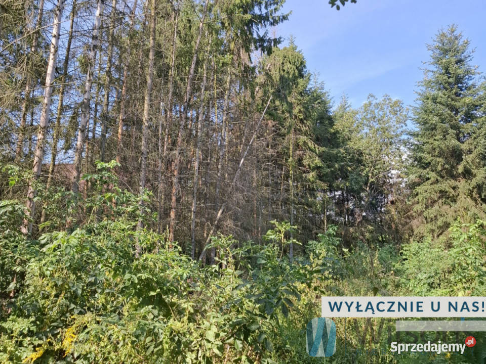 Działka 13000m2 Załuski Nieruchomości