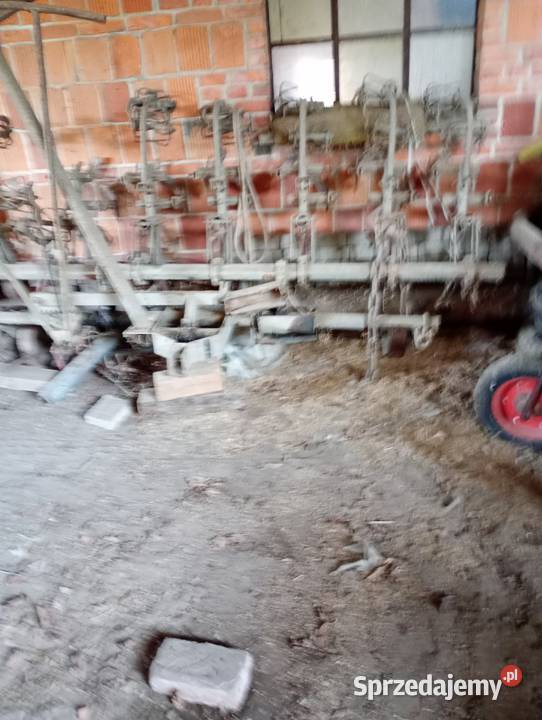 opielacz do warzyw buraków wielkopolskie Pogorzela