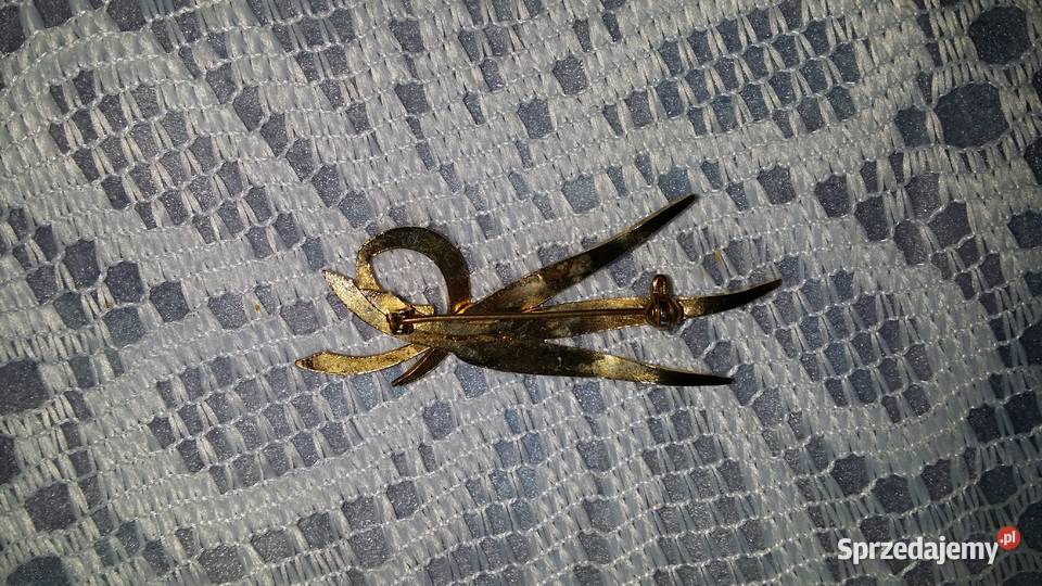Stara angielska broszka szuwarowa Ochojno
