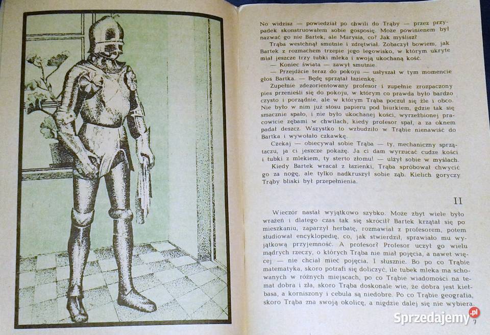 Mechaniczny Rycerz Anna Lewkowska Chełm sprzedam