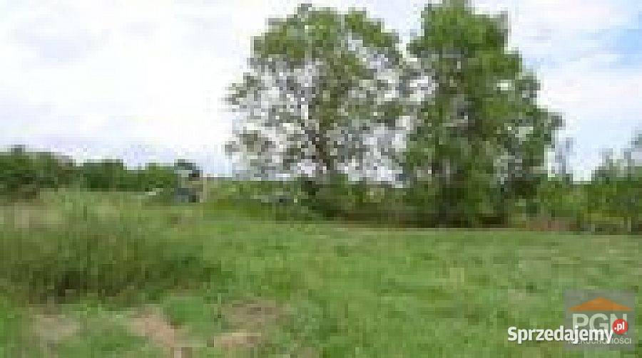 Sprzedaż działki 5000m2 Kołczewo okolica 2 Sprzedaż