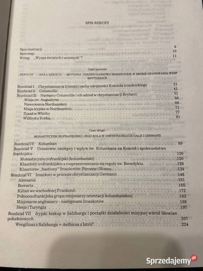 Jerzy Strzelczyk Iroszkoci w kulturze Książki naukowe i popularnonaukowe Katowice sprzedam