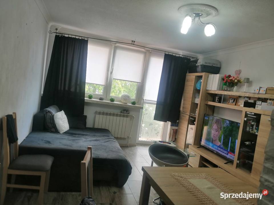 Sprzedam mieszkanie 2 pokojowe o powierzchni sieć Płock sprzedam