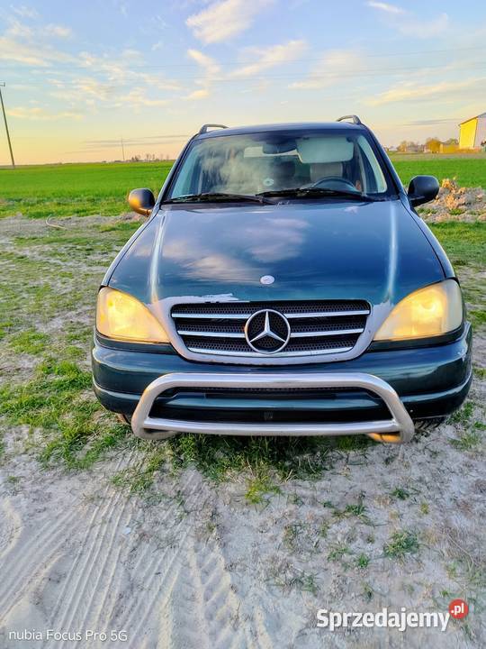 Ml 23 log Brzozówka sprzedam