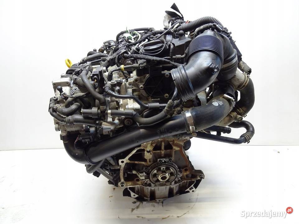 SILNIK SŁUPEK DBK 16 TDI SKODA OCTAVIA III AUDI osobowe