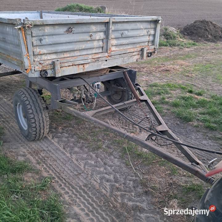 Przyczepa d47 Goleniów