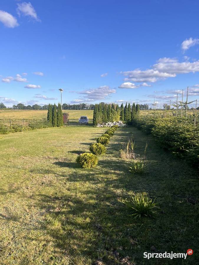 Działka 2826 m Strzelinko prąd altana kontener 92zł/m2