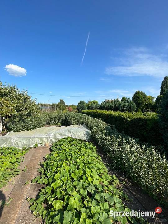 DZIAŁKA ROD STOKROTKASprzedam Nieruchomości Opole