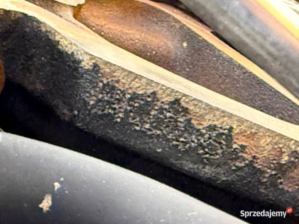 SILNIK BKD VW Golf V Jetta III Touran Skoda lubelskie Chełm