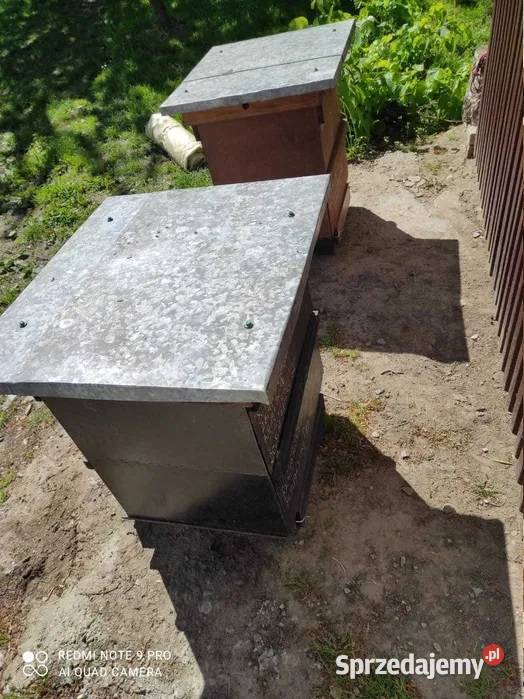 ule styrodurowe wielkopolskie poszerzane 12 podkarpackie Jarosław