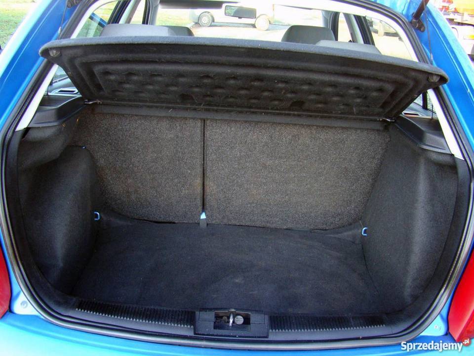 koda niebieski Gostynin