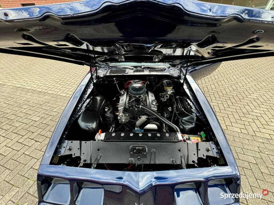 Pontiac Firebird Trans Am MIDNIGHT BLUE 1981 do lubuskie Sulechów