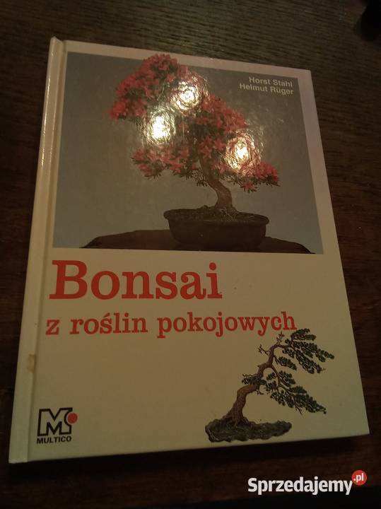 Bonsai z roślin pokojowych Warszawa