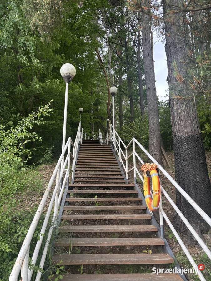 Domek letniskowy 35m2 w sercu lasu Zalewem Sokole-Kuźnica