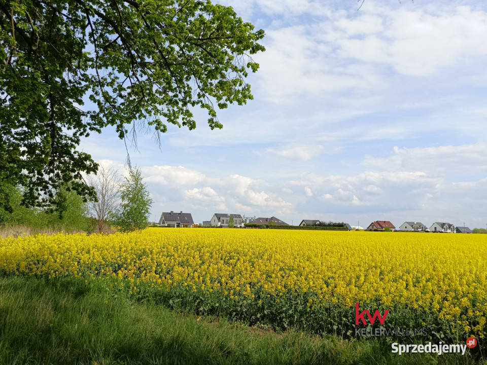 Działka Mrowino 959m2 wielkopolskie
