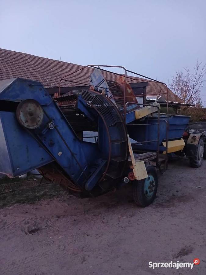 Kombajn Anna do zbioru cebuli Bukowiec