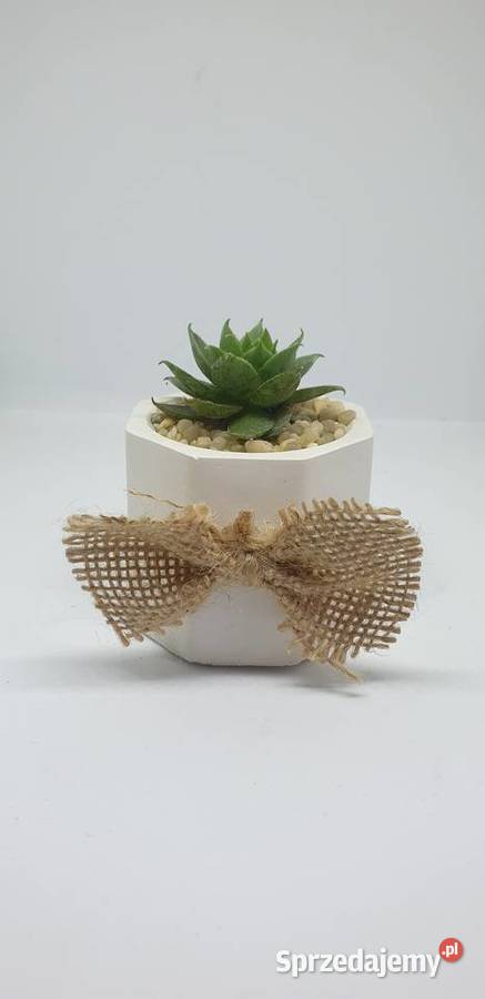 Podziękowania gości Łódź