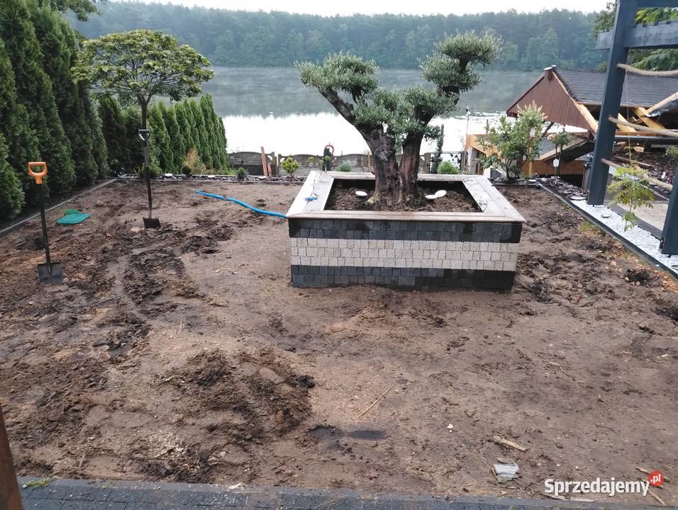 Usługi ogrodnicze trawnik koszenie wycinka Puszczykowo