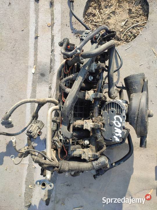 Opel corsa c 12 16v kolektor dolotowy kpl Przytyk sprzedam