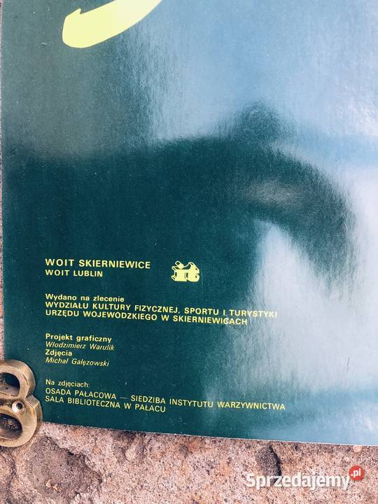 Plakat SKIERNIEWICE osada pałacowa Łowicz