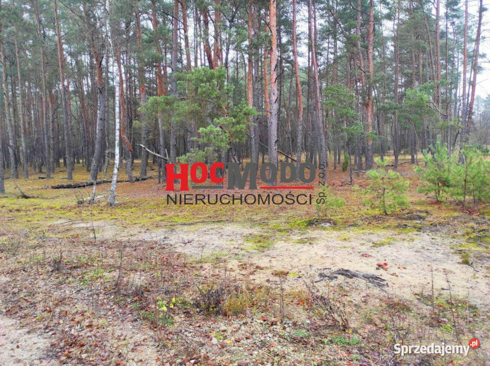 Rekreacyjne działki leśne w Popowie Letnisku 54zł/m2 Huta Podgórna