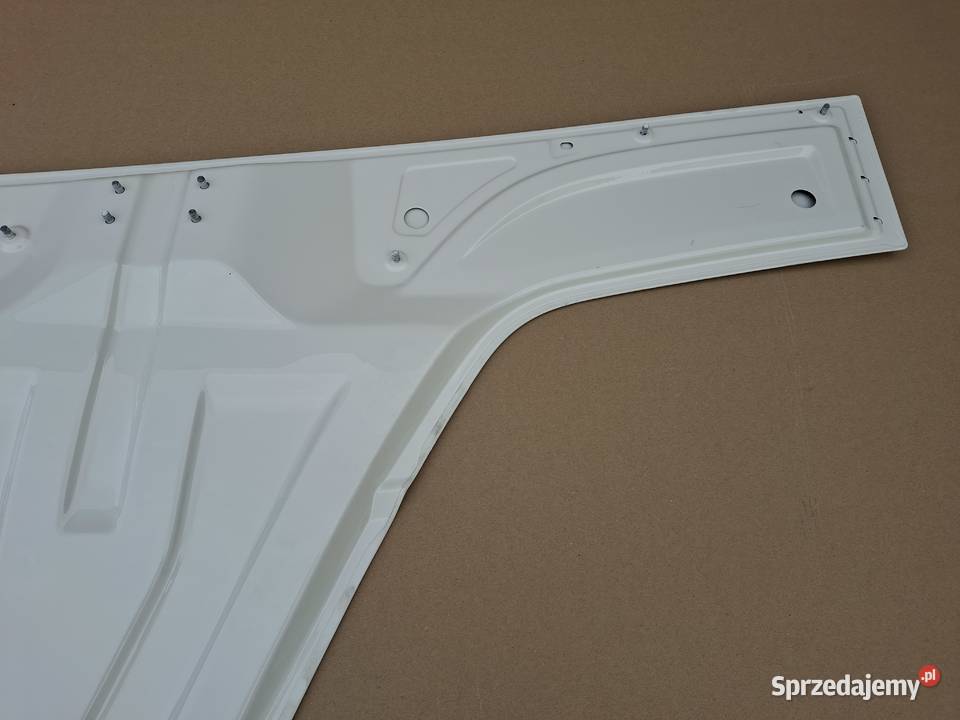 DAF XG XG PRZEDŁUŻENIE DRZWI PRAWYCH PRAWE LAK lubuskie Bieleń