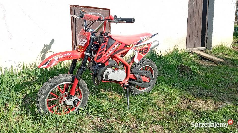 Pocket Cross Jackal nitro 50cc