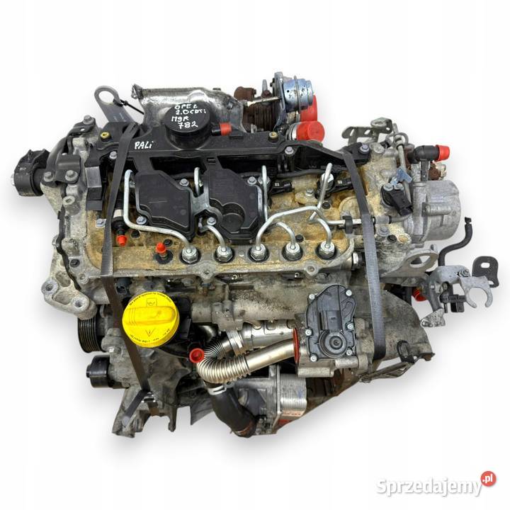 SILNIK M9R782 Renault Trafic Nissan Primastar osobowe Chełm