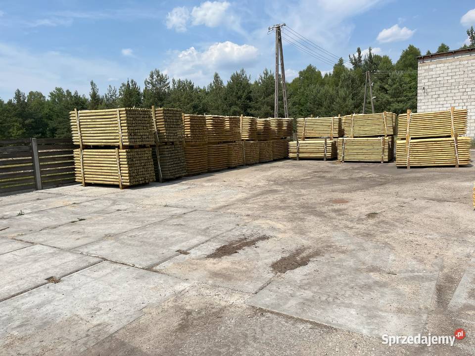 Paliki do drzew kołki wsporniki tyczki Łódź