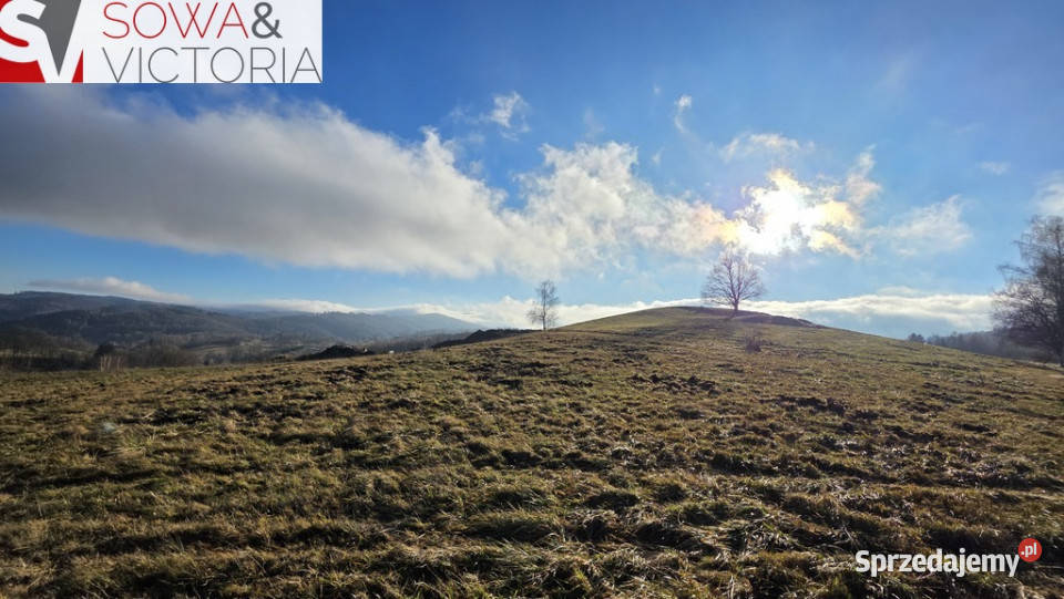 Rezydencjalna działka budowlana w Górach Sowich
