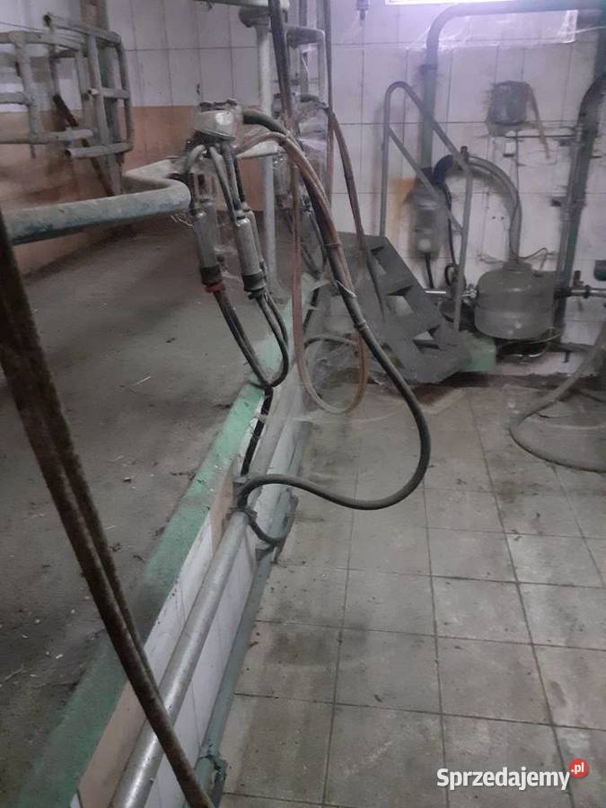 Sprzedam dojarka Kolno