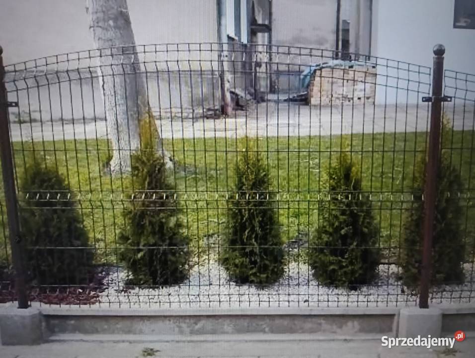 PANEL OGRODZENIOWY FALA Ostrowiec Świętokrzyski sprzedam