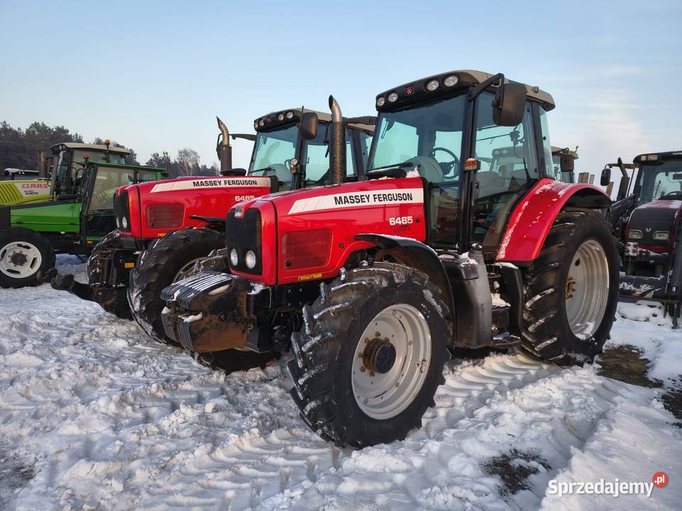 Massey Ferguson 6465 Grabów Szlachecki