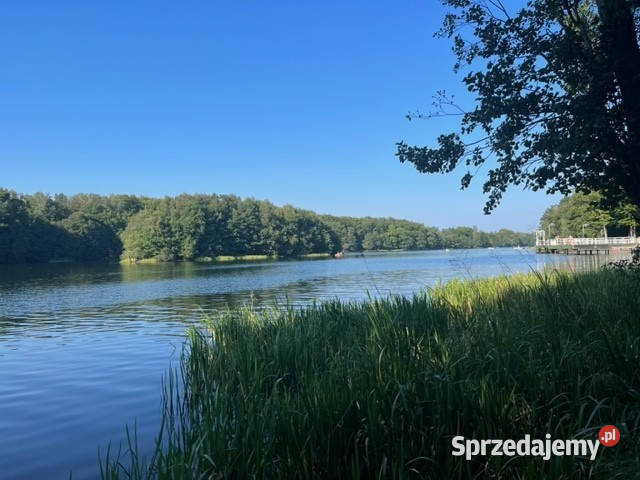 Ładna działka jeziora koło Kolbud Czapielsk sprzedam