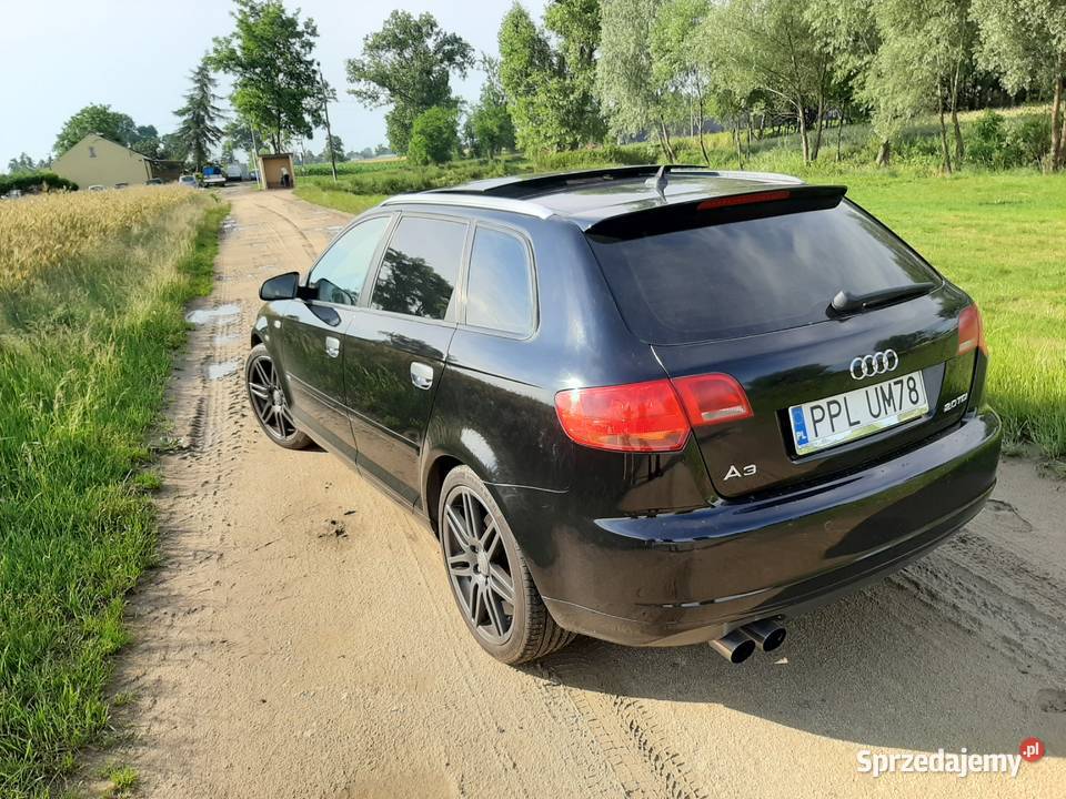 Audi A3 8P Sportback 2007 Silnik 20 TDI wersja Pleszew