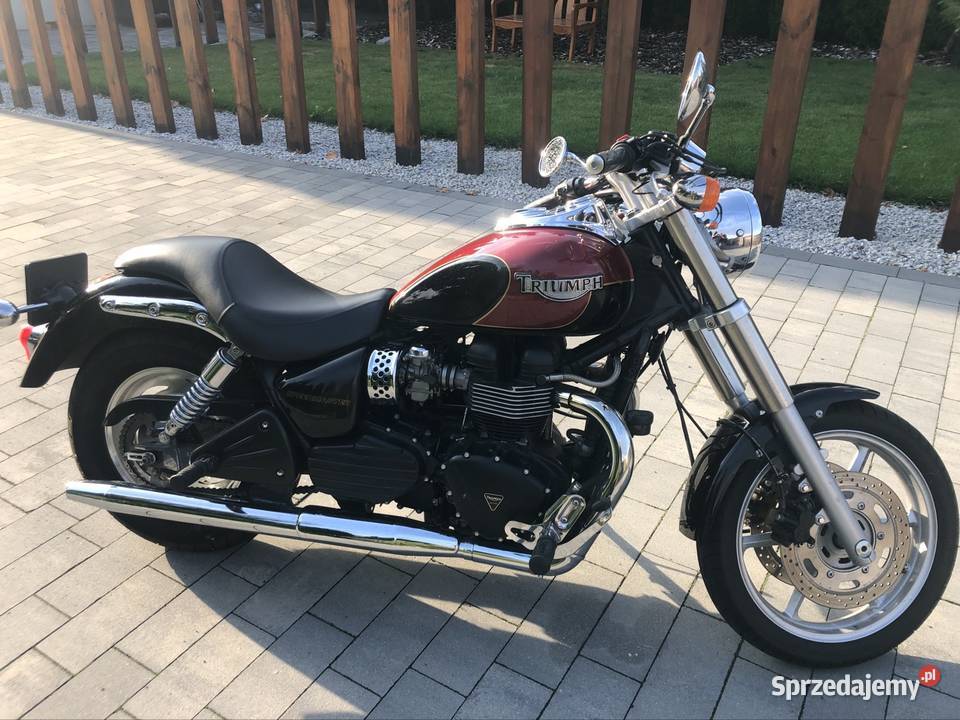 Triumph speedmaser Triumph Pleszew
