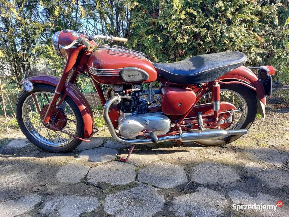 Triumph Speed Twin 5T