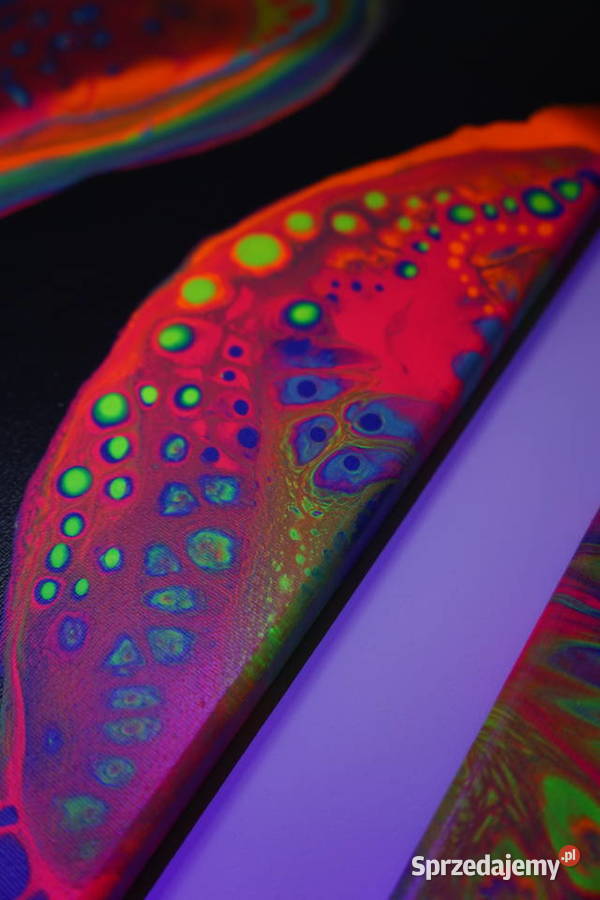 Kolorowy obraz świecący w UV Fluid life 3 x Warszawa
